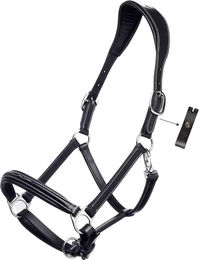 Equiline Anatomisches Leder-Sicherheitshalfter für Warmblut in Schwarz – Bild 1 von 3