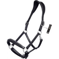 Produktbild von Equiline Anatomisches Lederhalfter für Pferde in Cob Größe
