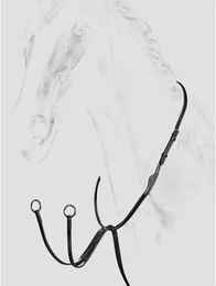 Produktbild von Equiline Classica Gleitendes Ring Martingale aus Leder Schwarz Größe Full