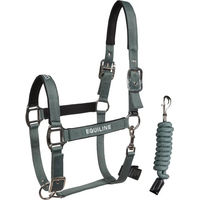 Produktbild von Equiline Eqcalong Set aus Halfter und Longiergurt für Pferde in Grün