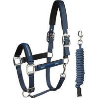 Produktbild von Equiline Esdino Halfter und Longiergurt Set für Pferde aus Nylon in Blau