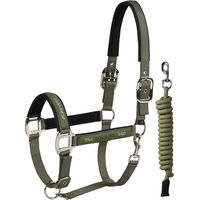Produktbild von Equiline Esdino Set aus Halfter und Longiergurt für Pferde aus Nylon in Grün