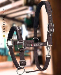 Produktbild von Equiline Halfter Timmy Braun aus Nylon