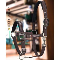 Produktbild von Equiline Halfter Timmy Braun aus Nylon