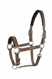 Produktbild von Equiline Halfter Timmy Cappuccino aus Nylon in Beige und Braun