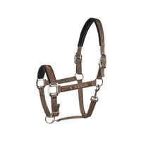 Produktbild von Equiline Halfter Timmy Cappuccino aus Nylon in Beige und Braun
