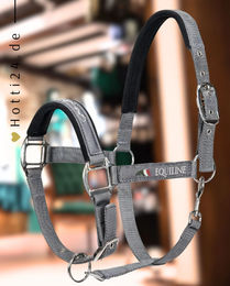 Produktbild von Equiline Halfter Timmy Grey aus Nylon