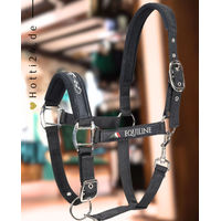 Produktbild von Equiline Halfter Timmy Schwarz aus Nylon