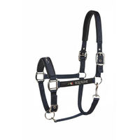 Produktbild von Equiline Halfter Timothy Blue aus Kunststoff für Pferde