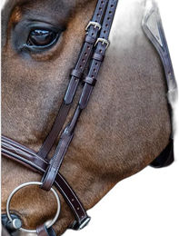 Produktbild von Equiline Heunetze aus Leder für Pferde in Schwarz oder Braun