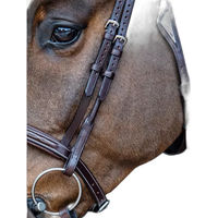 Produktbild von Equiline Heunetze aus Leder für Pferde in Schwarz oder Braun
