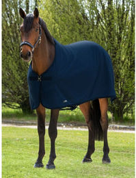 Equiline Hugo Pferdefleececke aus Polyester 115 cm in Grau oder Blau – Bild 1 von 2