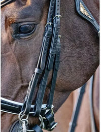 Produktbild von Equiline Leder Flachpfosten für Pferde in Schwarz oder Braun