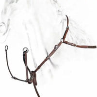 Produktbild von Equiline Leder-Vorderzeug für Pferde mit abnehmbarem Martingal in Braun
