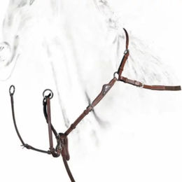 Produktbild von Equiline Leder-Vorderzeug für Pferde mit abnehmbarem Martingal in Braun für Vollblut