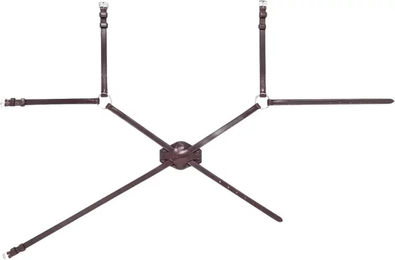 Produktbild von Equiline Mexikanisches Reithalfter aus Leder in Schwarz oder Braun