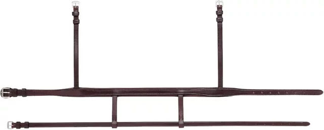 Equiline Reithalfter doppelt aus Leder für Pferde in Schwarz oder Braun – Bild 1 von 2