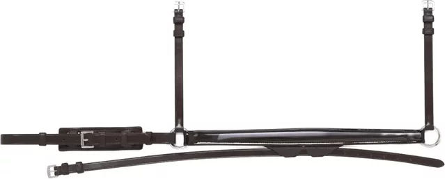 Produktbild von Equiline Reithalfter mit abnehmbarem Mundschutz aus Leder für Vollblut in Schwarz oder Braun
