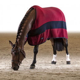Equiline Steve Fleece Decke für Pferde in Rot 165 cm – Bild 1 von 3