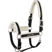 Produktbild von Equiline Tamir Pferdehalfter aus Kunststoff für Vollblut in Schwarz oder Weiß
