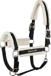 Produktbild von Equiline Tamir Pferdehalfter aus Kunststoff für Warmblut in Schwarz oder Weiß