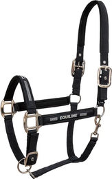 Produktbild von Equiline Tessa Pferdehalfter aus Neopren in Schwarz für Vollblut