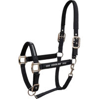 Produktbild von Equiline Tessa Pferdehalfter aus Neopren in Schwarz für Vollblut