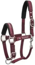 Equiline Timmy Halfter aus Kunststoff für Pferde – Bild 1 von 3