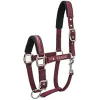 Produktbild von Equiline Timmy Halfter aus Kunststoff für Pferde