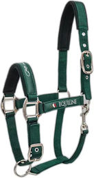 Equiline Timmy Halfter für Pferde aus Kunststoff in Grün – Bild 1 von 2