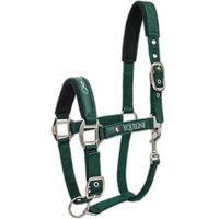 Produktbild von Equiline Timmy Halfter für Pferde aus Kunststoff in Grün