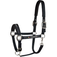 Produktbild von Equiline Timmy Halfter für Warmblut in Rot oder Schwarz