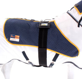 Produktbild von equimag expert Air Applikatoren-Set Pferdedecke für die Magnetfeldtherapie Blau Weiß Größe L