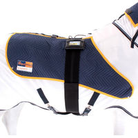 Produktbild von equimag expert Air Applikatoren-Set Pferdedecke für die Magnetfeldtherapie Blau Weiß Größe L