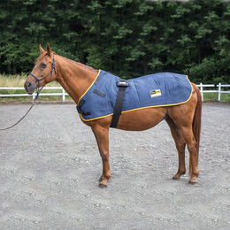 Produktbild von equimag expert Grundausstattung Pferdedecke für Magnetfeldtherapie Blau 175 cm