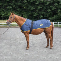 Produktbild von equimag expert Grundausstattung Pferdedecke für Magnetfeldtherapie Blau 175 cm
