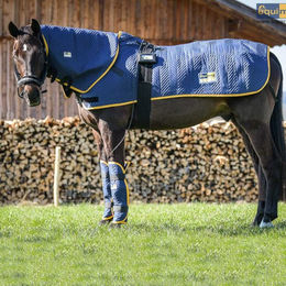 Produktbild von Equimag Expert Magnetfelddecke für Pferde in Blau