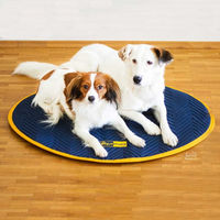 Produktbild von Equimag Hundematte für kleine Hunde in Blau