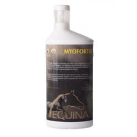 Produktbild von Equina Myofortil Ergänzungsfutter für Pferde zur Unterstützung von Muskelaufbau und Gelenkstoffwechsel 1 Liter - 1 l