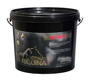 Equina Trifertil Ergänzungsfutter zur Förderung der Fruchtbarkeit für Zuchtstuten und Hengste 3 kg - 3 kg – Bild 1 von 1