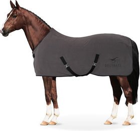 Equinate Abschwitzdecke Nevada Fleece für Pferde Grau 165cm mit Widerristpolster und Kreuzbegurtung – Bild 1 von 2