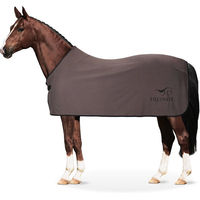 Produktbild von Equinate Abschwitzdecke Orlando für Pferde aus Fleece mit Widerristpolster Grau 135 cm - 135 cm