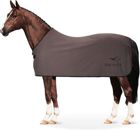 Equinate Abschwitzdecke Orlando für Pferde aus Fleece mit Widerristpolster Grau 145cm - 145 cm – Bild 1 von 4