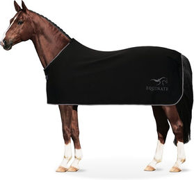 Equinate Abschwitzdecke Orlando für Pferde aus Fleece mit Widerristpolster Schwarz 145cm - 145 cm – Bild 1 von 5