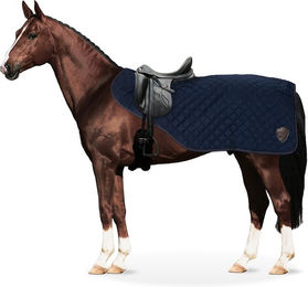 Equinate Ausreitdecke James mit Teddyfell Blau – Bild 1 von 3