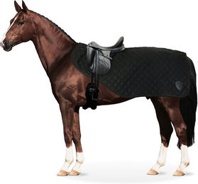 Equinate Ausreitdecke James mit Teddyfell für Pferde Schwarz Größe M – Bild 1 von 3