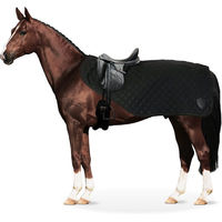 Produktbild von Equinate Ausreitdecke James mit Teddyfell Schwarz
