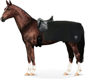 Equinate Ausreitdecke Lancaster mit Teddyfell Schwarz Größe L – Bild 1 von 3