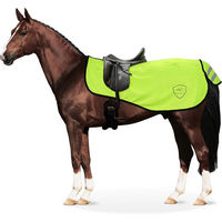 Produktbild von Equinate Ausreitdecke Reflective mit Fleeceinnenfutter Gelb Größe M