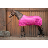 Produktbild von Equinate Fliegendecke Guardian mit Kreuzbegurtung und Widerristpolster 155cm Raspberry für Pferde